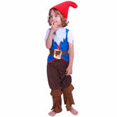Fantasia Infantil Gnomo